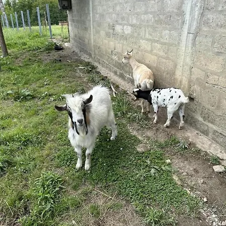 Prázdninový dům Madroles *